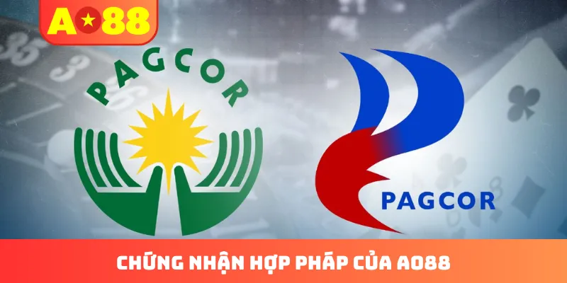 Thông tin giấy phép hoạt động AO88
